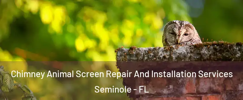  Chimney Animal Screen Repair And Installation Services Seminole - FL