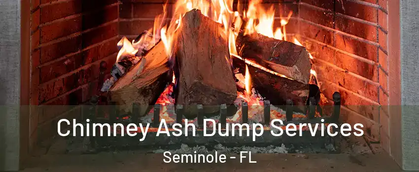 Chimney Ash Dump Services Seminole - FL