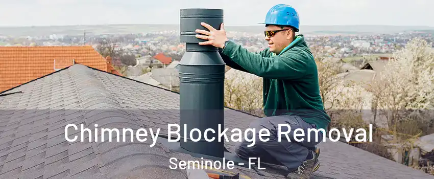  Chimney Blockage Removal Seminole - FL