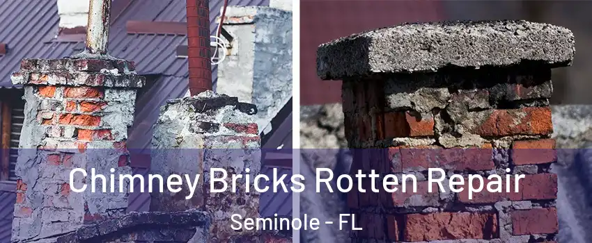  Chimney Bricks Rotten Repair Seminole - FL