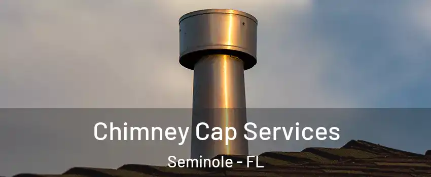  Chimney Cap Services Seminole - FL