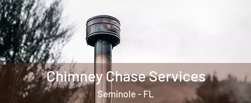  Chimney Chase Services Seminole - FL