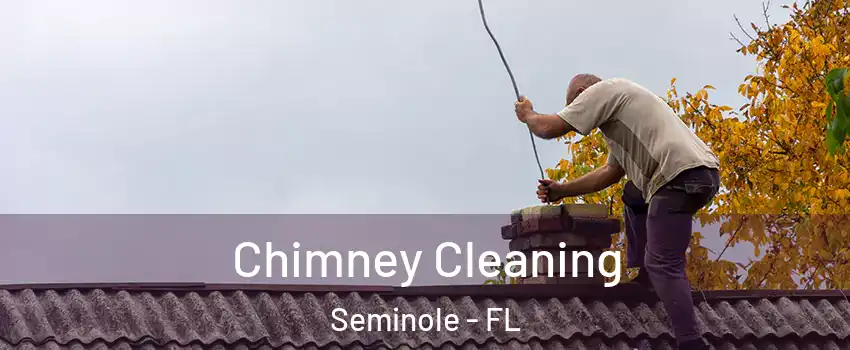  Chimney Cleaning Seminole - FL