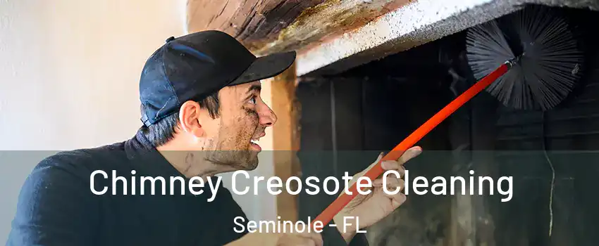 Chimney Creosote Cleaning Seminole - FL