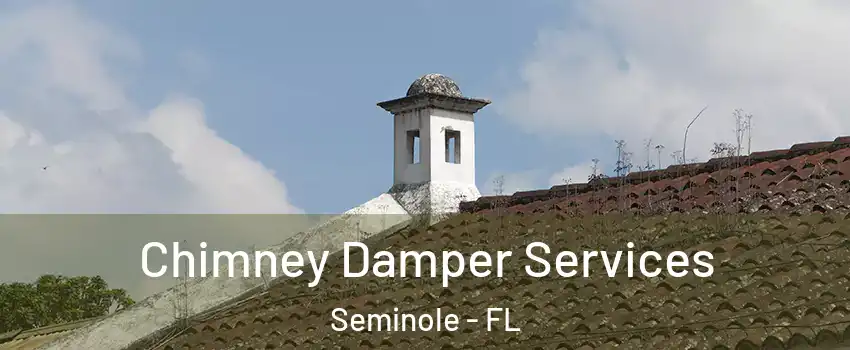  Chimney Damper Services Seminole - FL