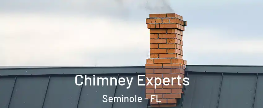  Chimney Experts Seminole - FL