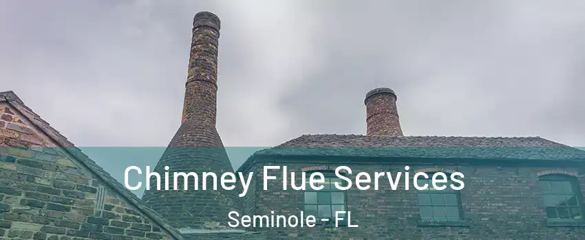  Chimney Flue Services Seminole - FL