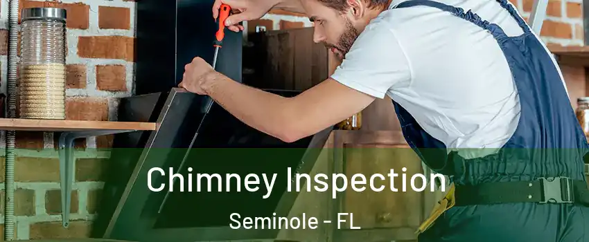  Chimney Inspection Seminole - FL