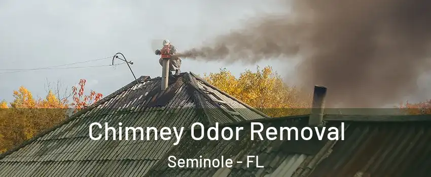 Chimney Odor Removal Seminole - FL