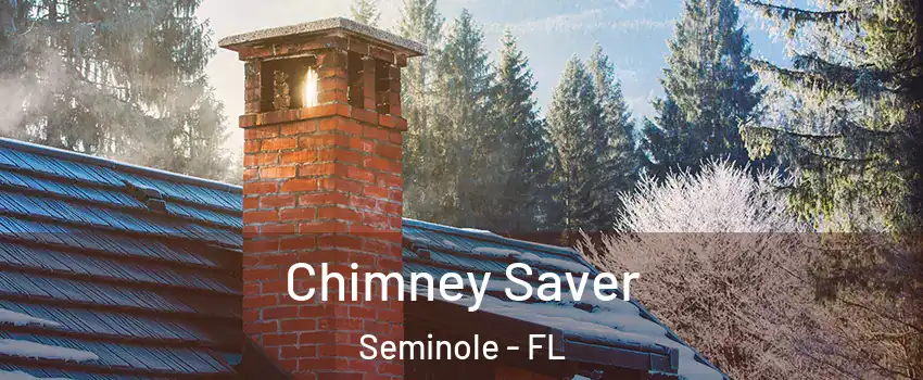  Chimney Saver Seminole - FL