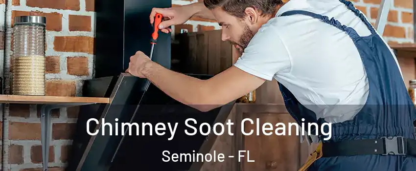 Chimney Soot Cleaning Seminole - FL