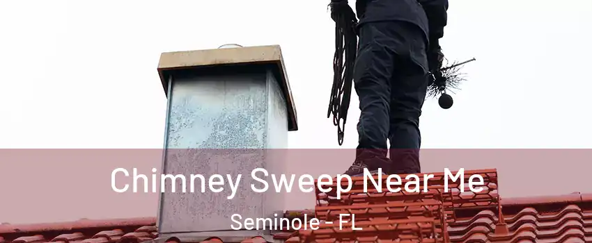  Chimney Sweep Near Me Seminole - FL
