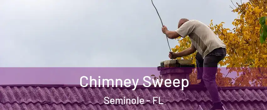  Chimney Sweep Seminole - FL