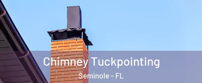  Chimney Tuckpointing Seminole - FL