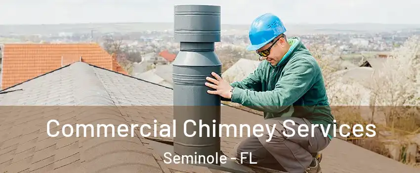  Commercial Chimney Services Seminole - FL