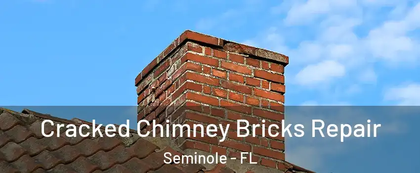 Cracked Chimney Bricks Repair Seminole - FL