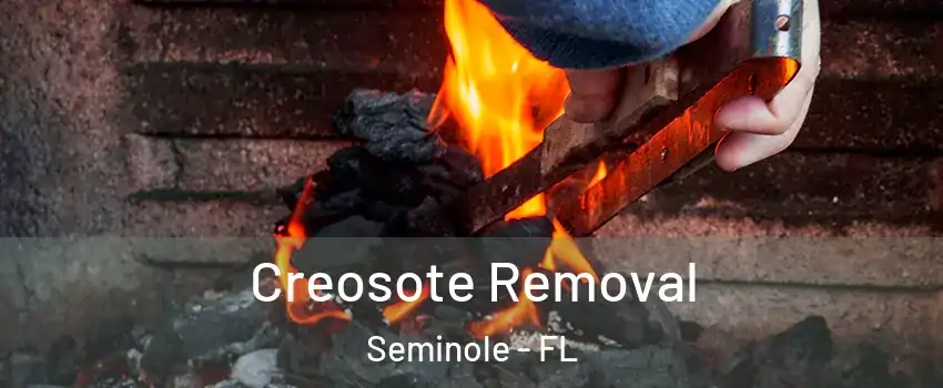  Creosote Removal Seminole - FL