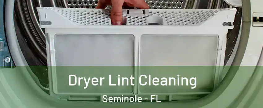  Dryer Lint Cleaning Seminole - FL