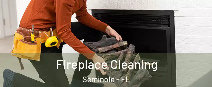  Fireplace Cleaning Seminole - FL