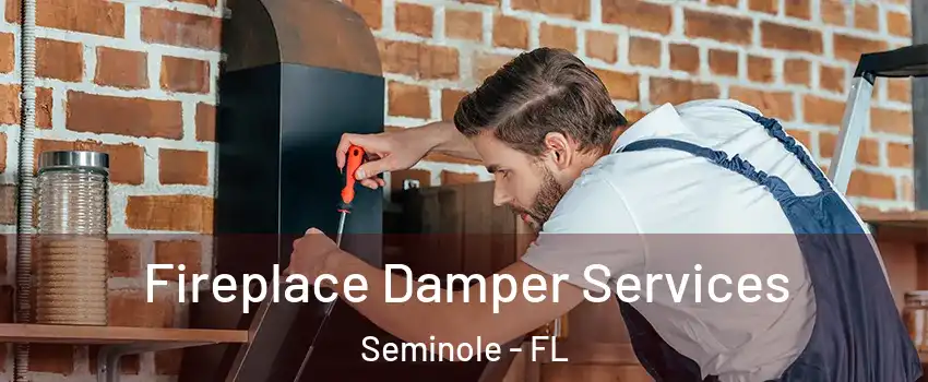  Fireplace Damper Services Seminole - FL