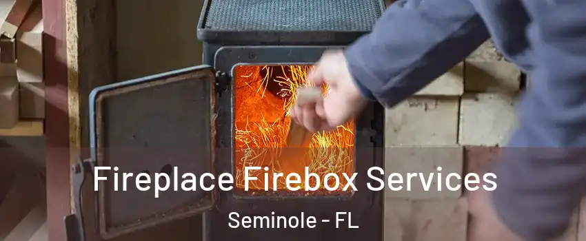  Fireplace Firebox Services Seminole - FL