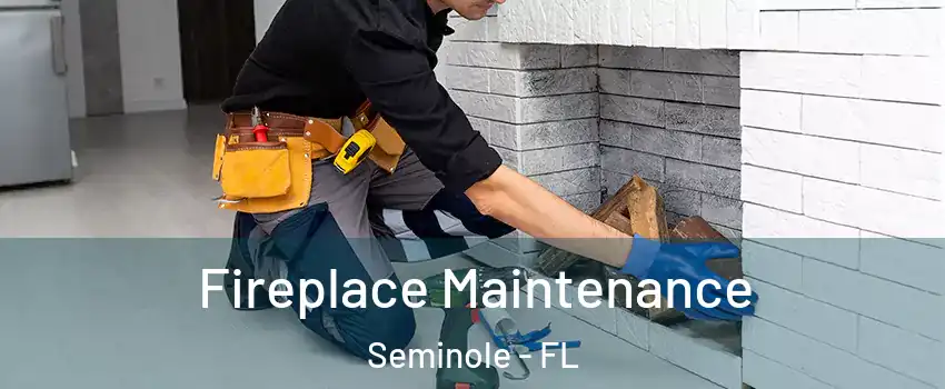  Fireplace Maintenance Seminole - FL