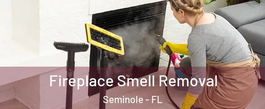 Fireplace Smell Removal Seminole - FL