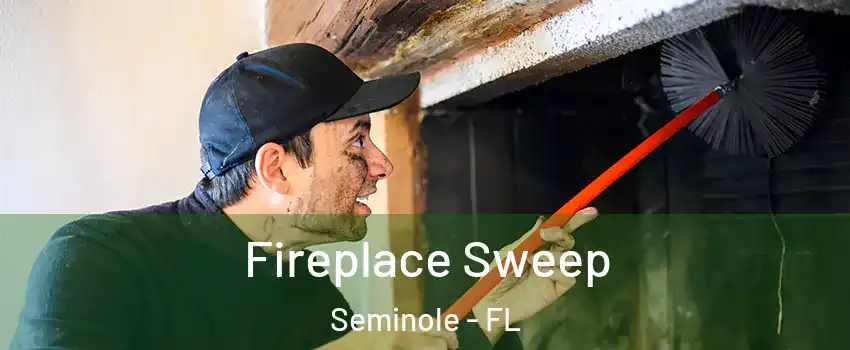  Fireplace Sweep Seminole - FL