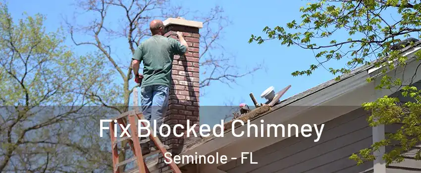  Fix Blocked Chimney Seminole - FL