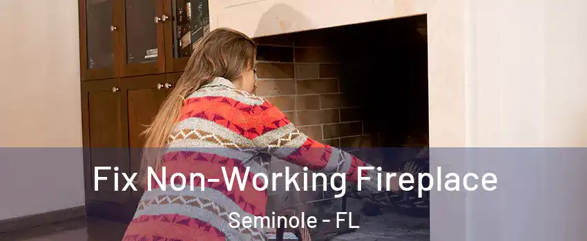 Fix Non-Working Fireplace Seminole - FL