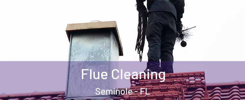  Flue Cleaning Seminole - FL