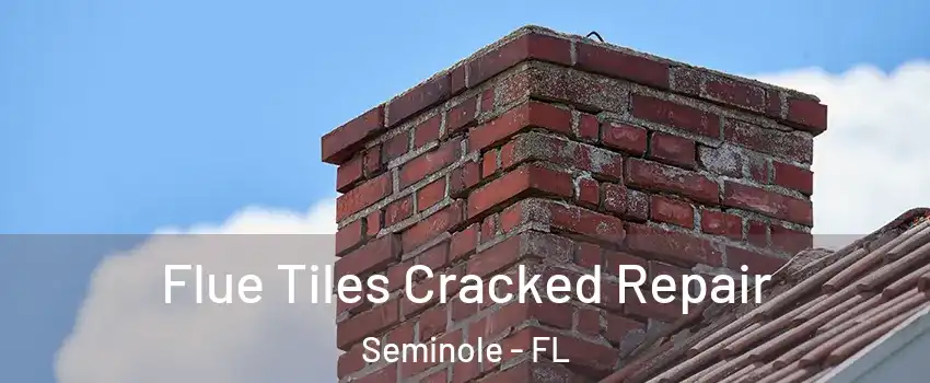 Flue Tiles Cracked Repair Seminole - FL
