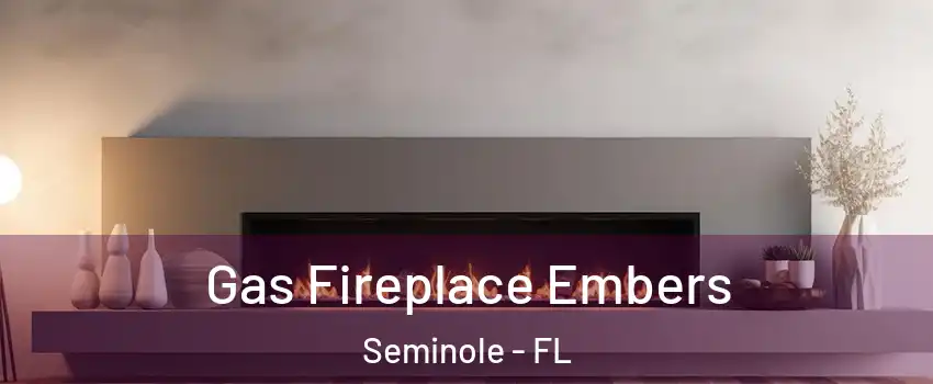  Gas Fireplace Embers Seminole - FL
