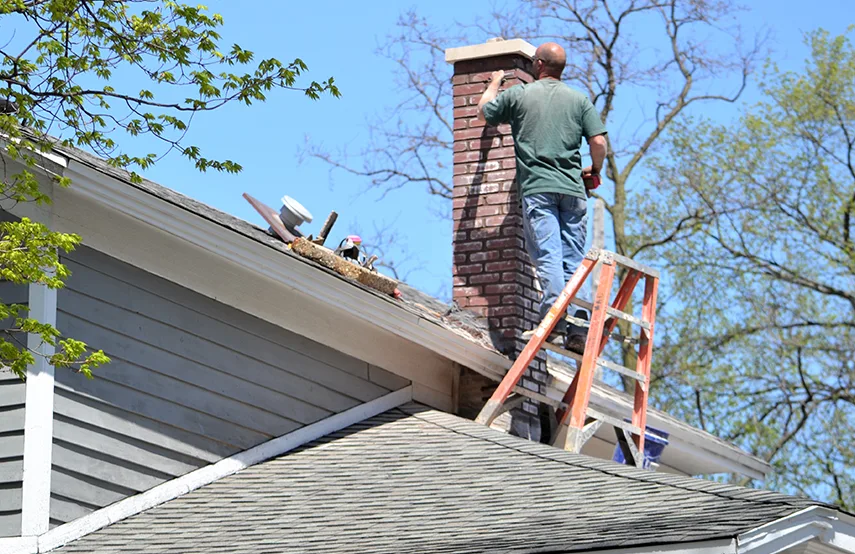 Chimney & Fireplace Inspections Services in Seminole, FL