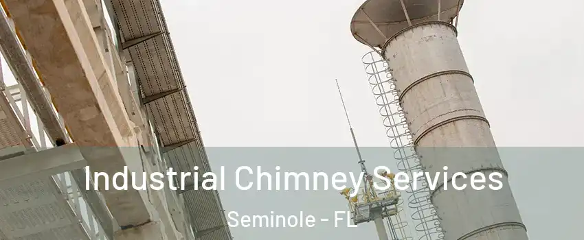  Industrial Chimney Services Seminole - FL