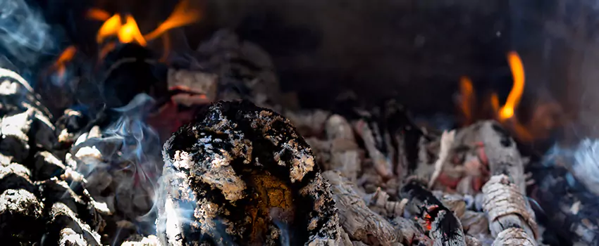 Creosote Removal Experts in Seminole, FL