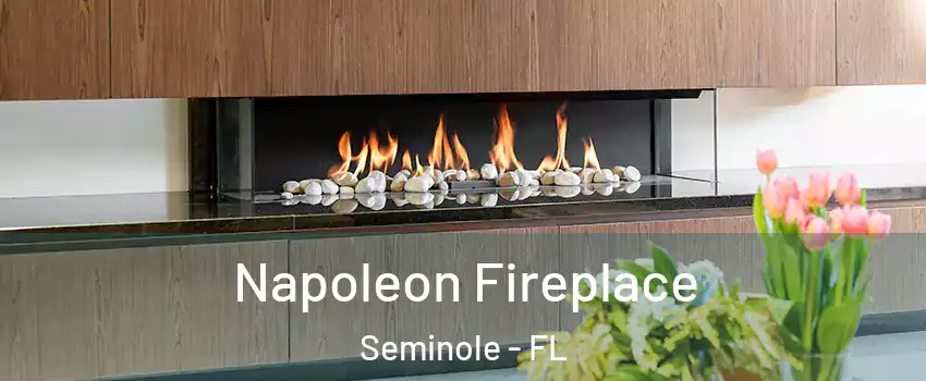  Napoleon Fireplace Seminole - FL