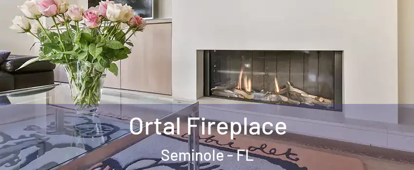  Ortal Fireplace Seminole - FL