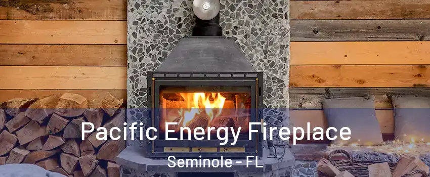  Pacific Energy Fireplace Seminole - FL