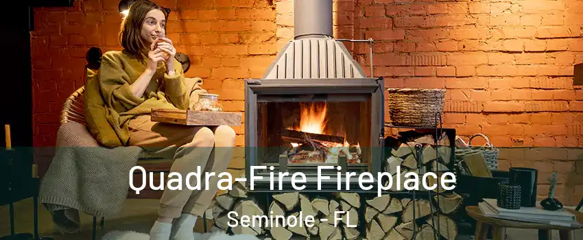  Quadra-Fire Fireplace Seminole - FL