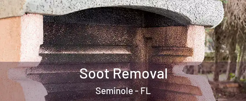  Soot Removal Seminole - FL