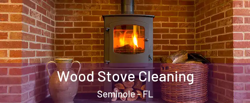  Wood Stove Cleaning Seminole - FL